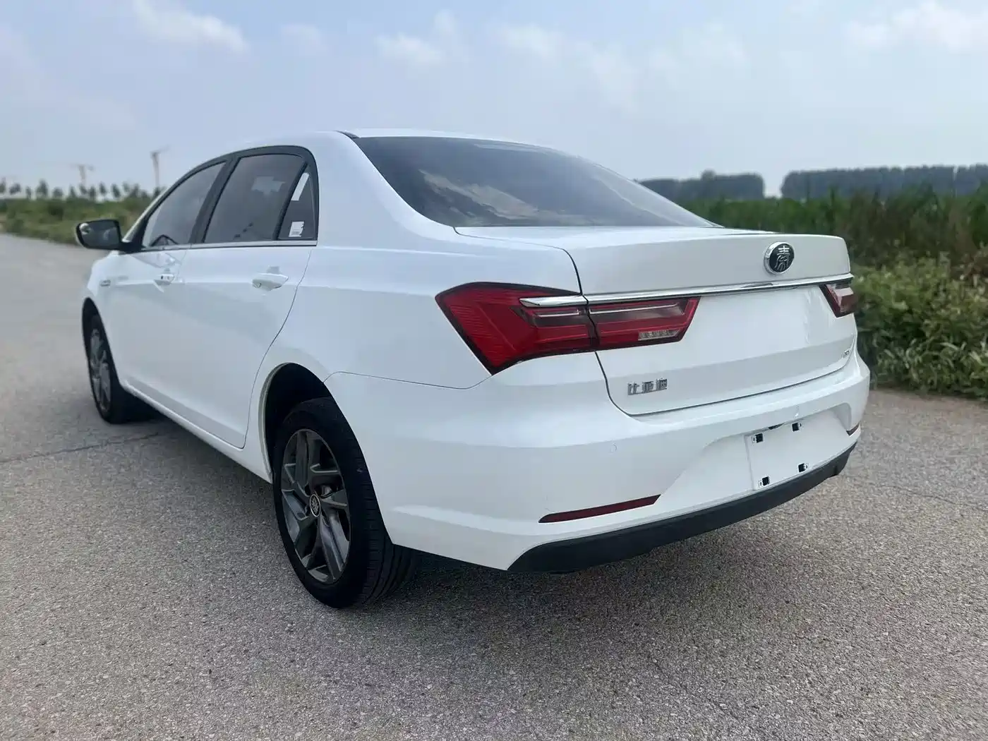 BYD Qin New Energy 2020 2019 Long Range Luxury Edition