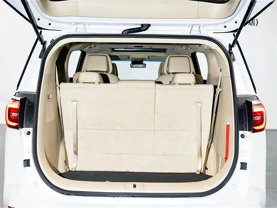 Buick GL8 2023 ES Landmaster Exclusive фото 29