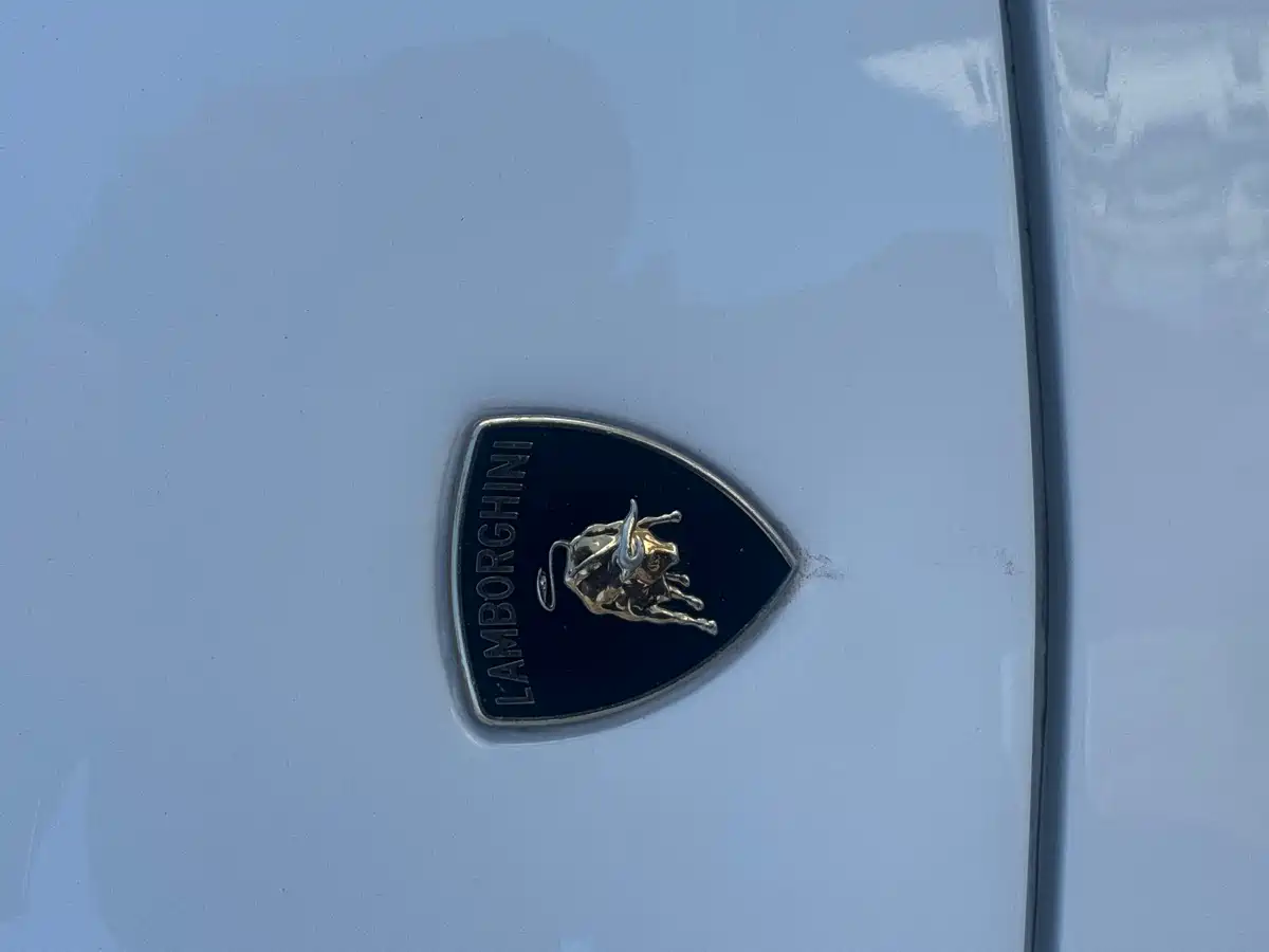 Lamborghini Gallardo 2008 LP 560-4 фото 14