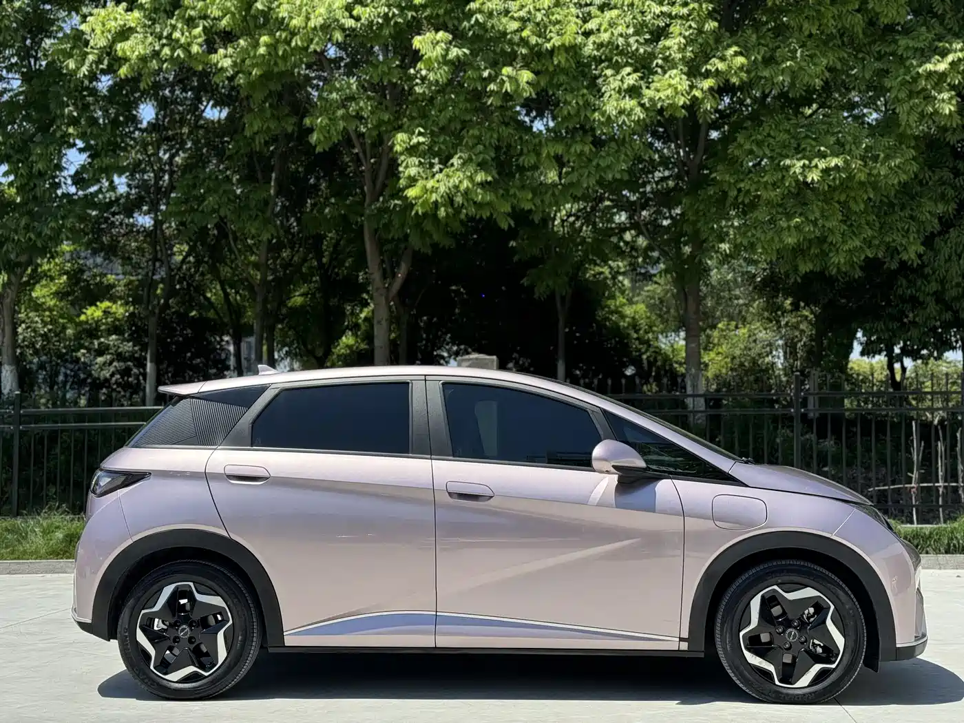 BYD Dolphin 2021 Model 405km Fashion Edition фото 4