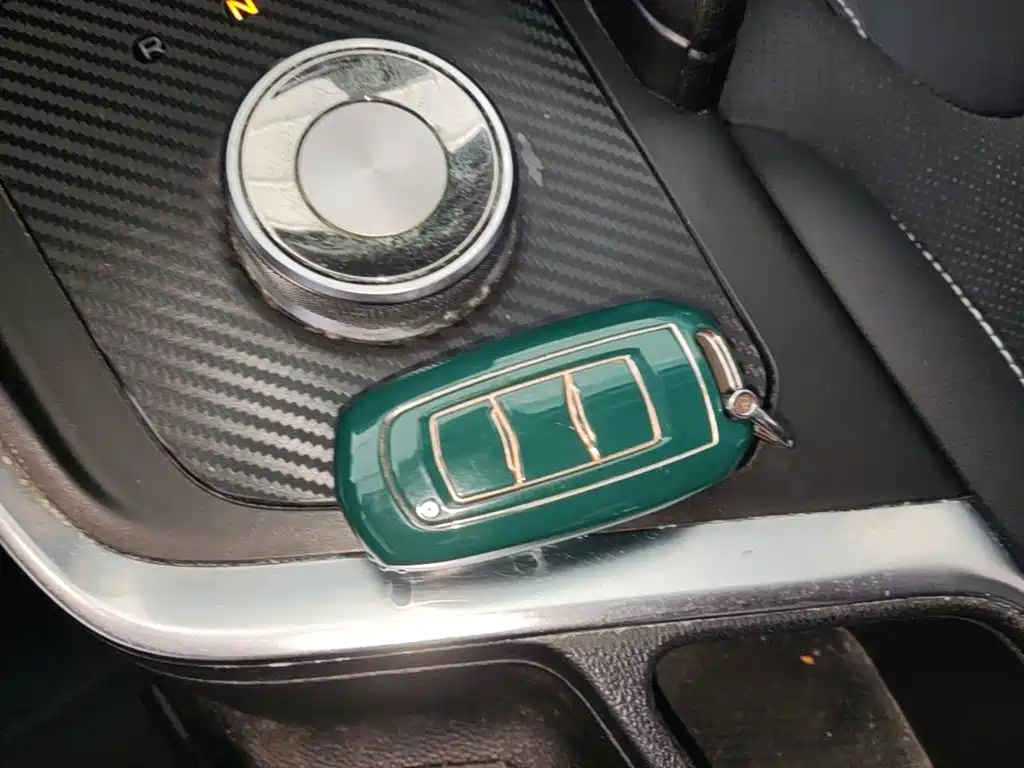 Geely Geometry EX3 Kung Fu Bull 2022 2021 Strong Bull