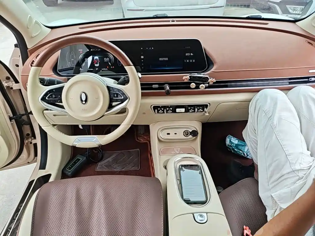 Ora Good Cat 2023 2023 401km Standard Range Luxury LFP