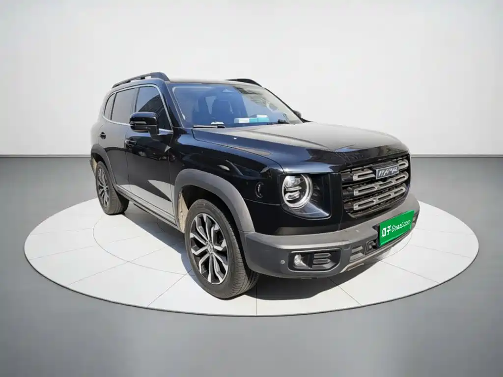 Фото 24 - Haval Dargo