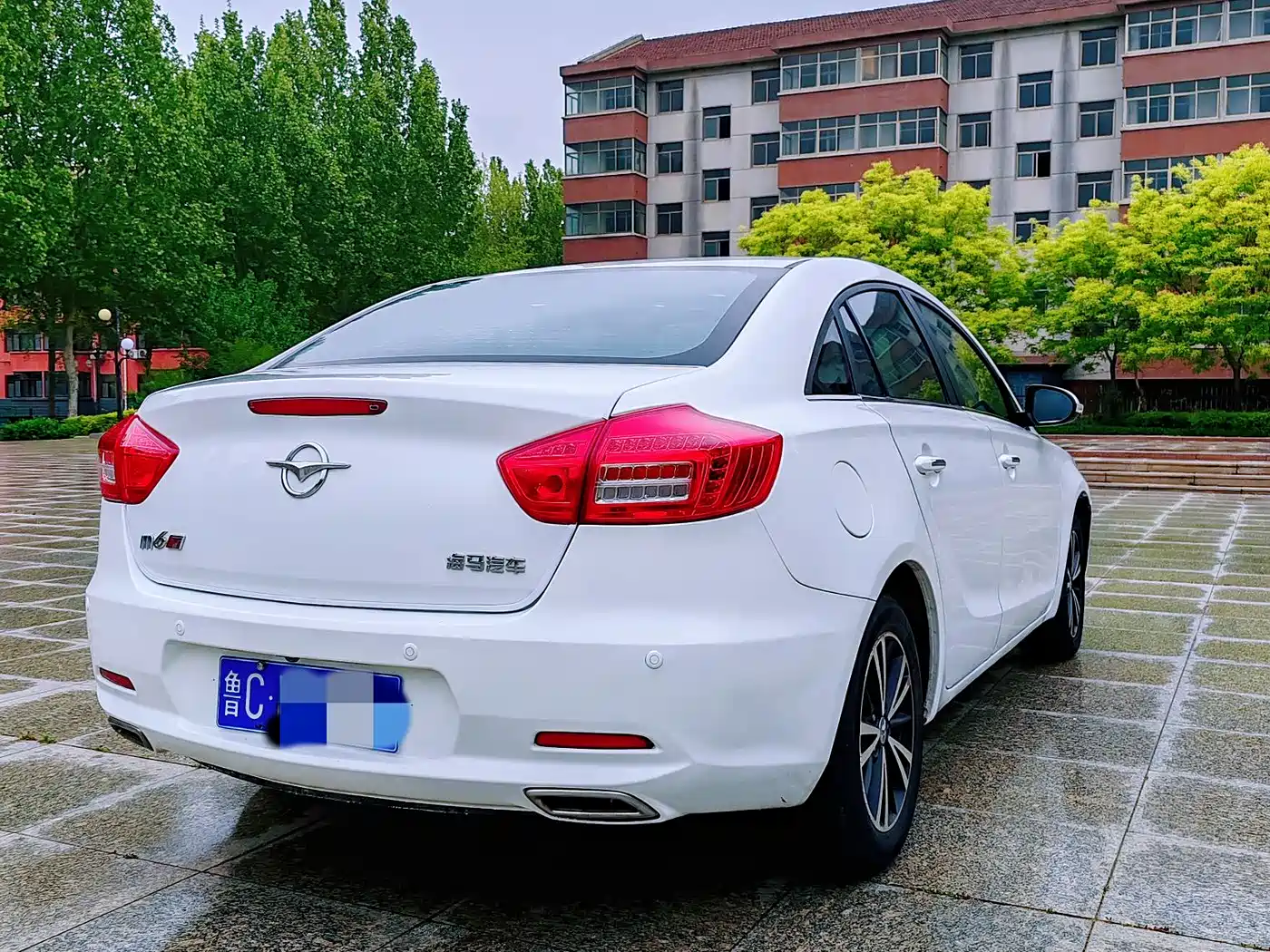 SEAHORSE M6