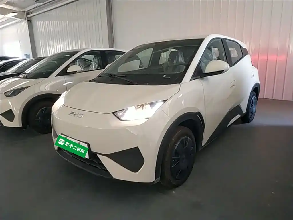 BYD Seagull 2026 2025 Smart Drive Edition 305km Vitality Version