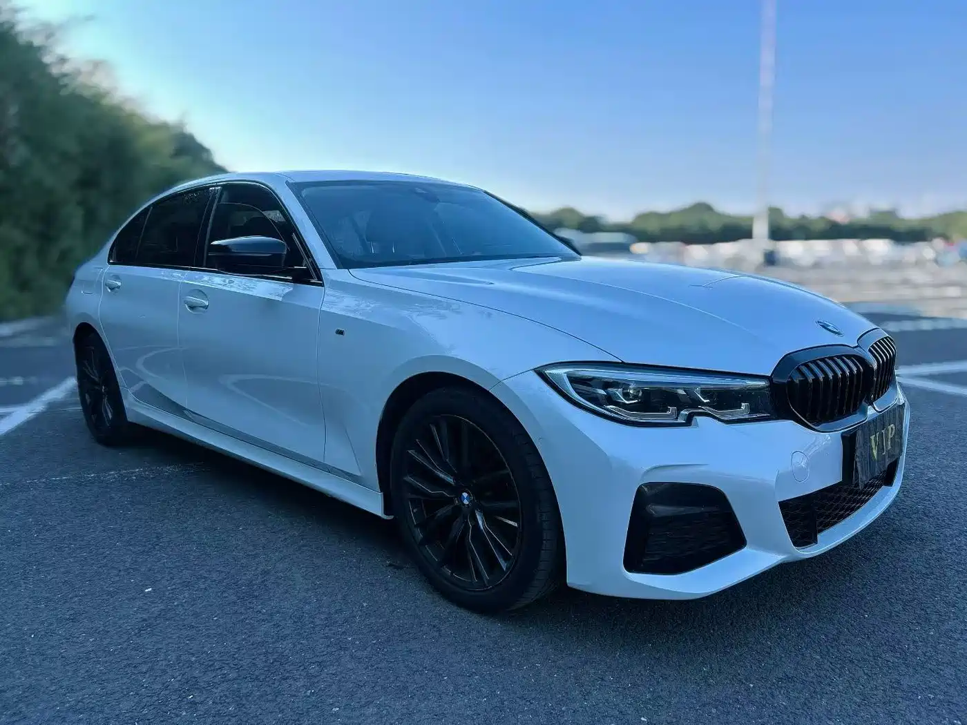 BMW 3 Series 2020 325Li M Sport Black Night Package фото 8