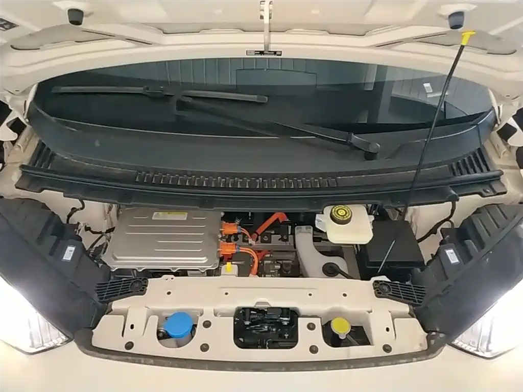 BYD Seagull 2026 2025 Smart Drive Edition 305km Vitality Version