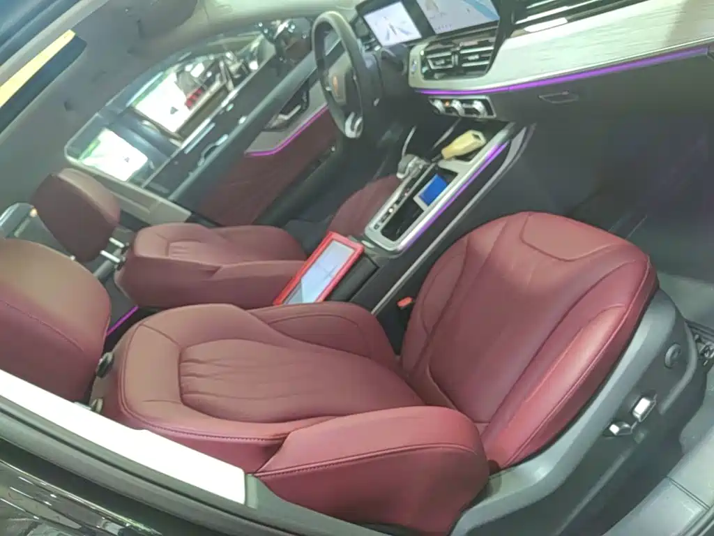 Hongqi HS5 2025 2025 2.0T 2WD Qixiang Pro