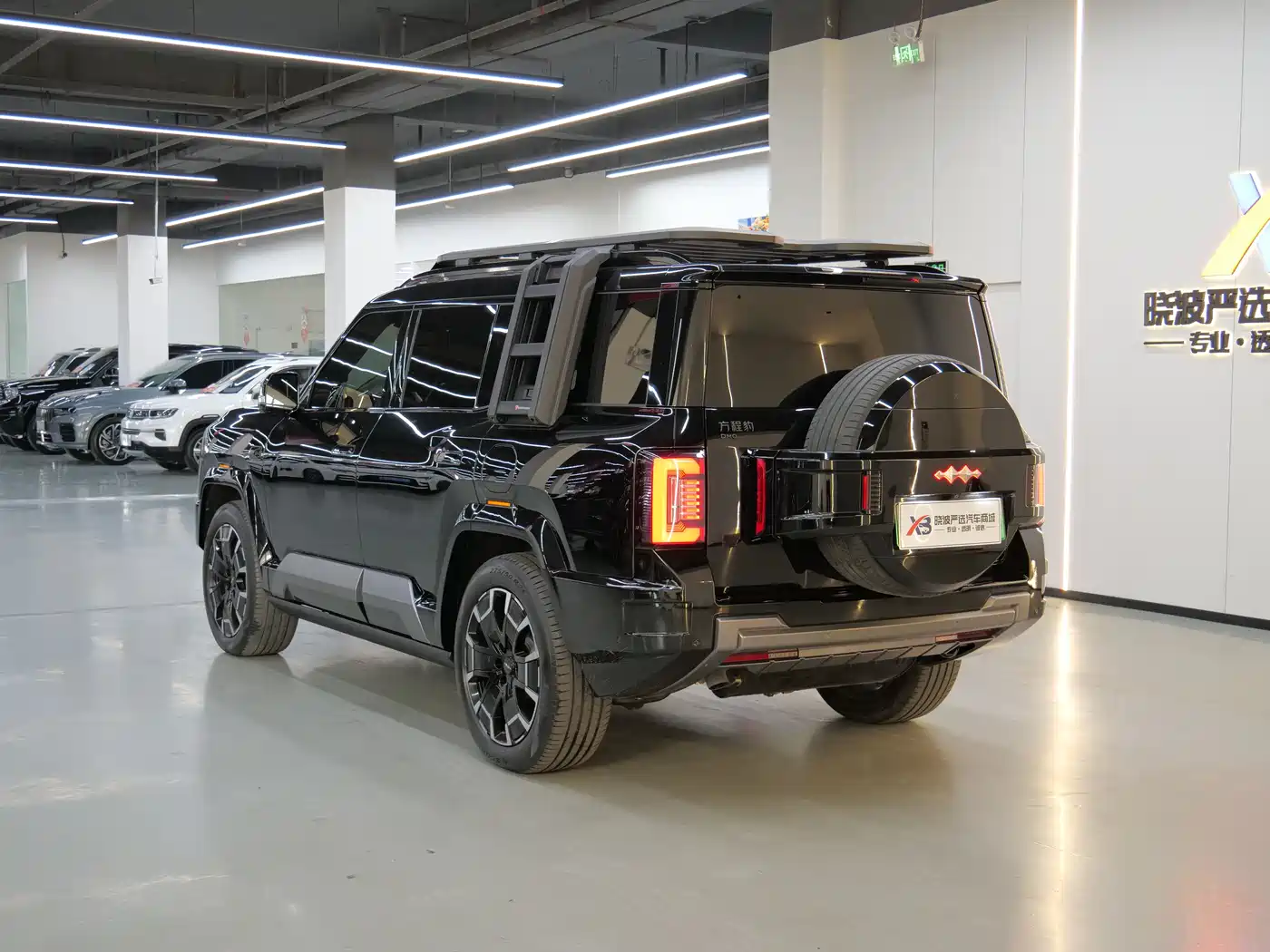 FANG CHENG BAO LEOPARD 8