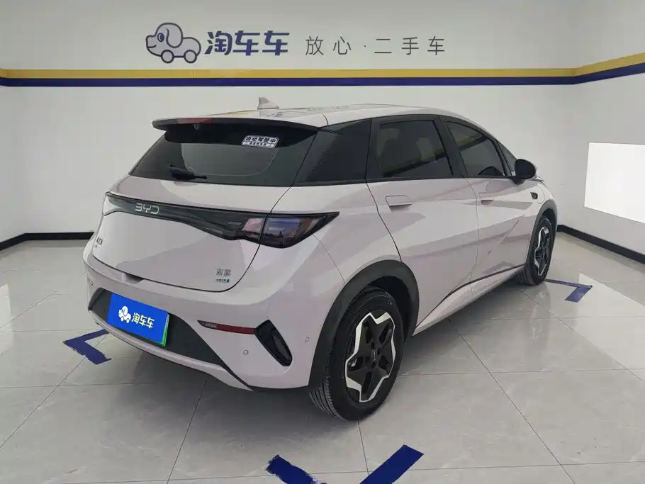 Фото 3 - BYD Dolphin