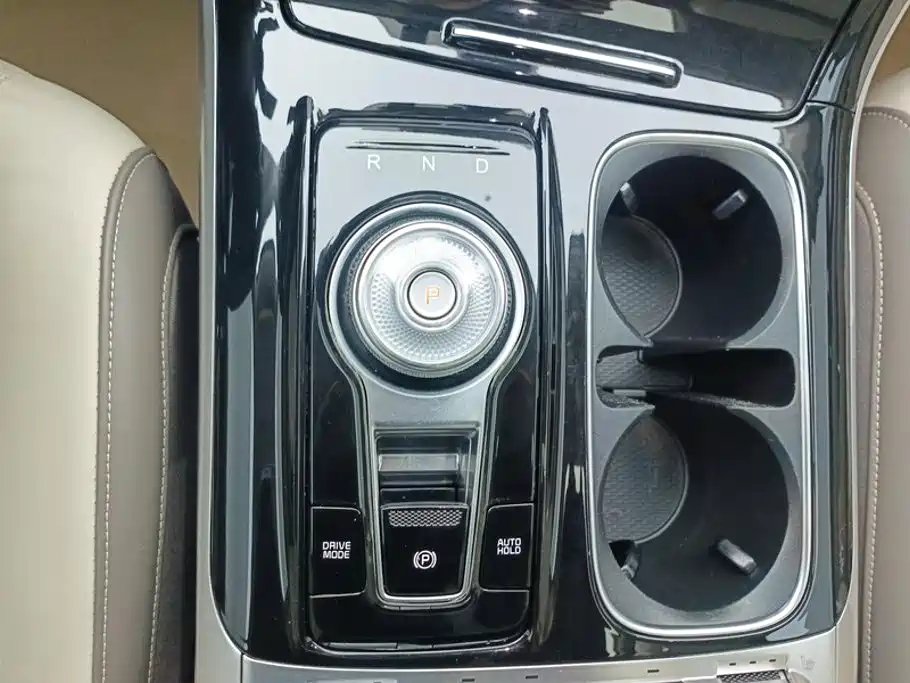 Kia Carnival 2022 2021 2.0T Flagship Edition