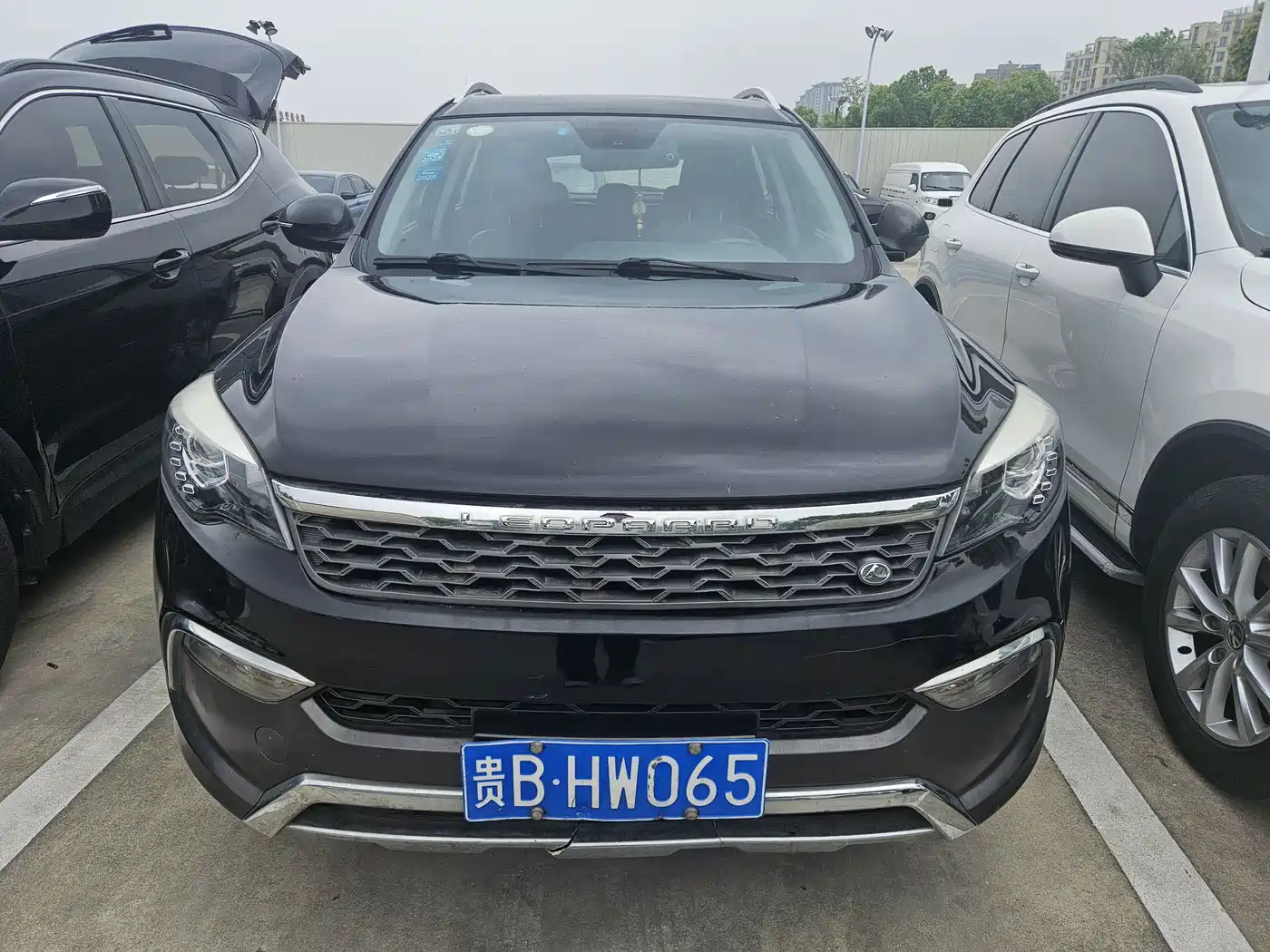 CHEETAH CARS CHEETAH CS10