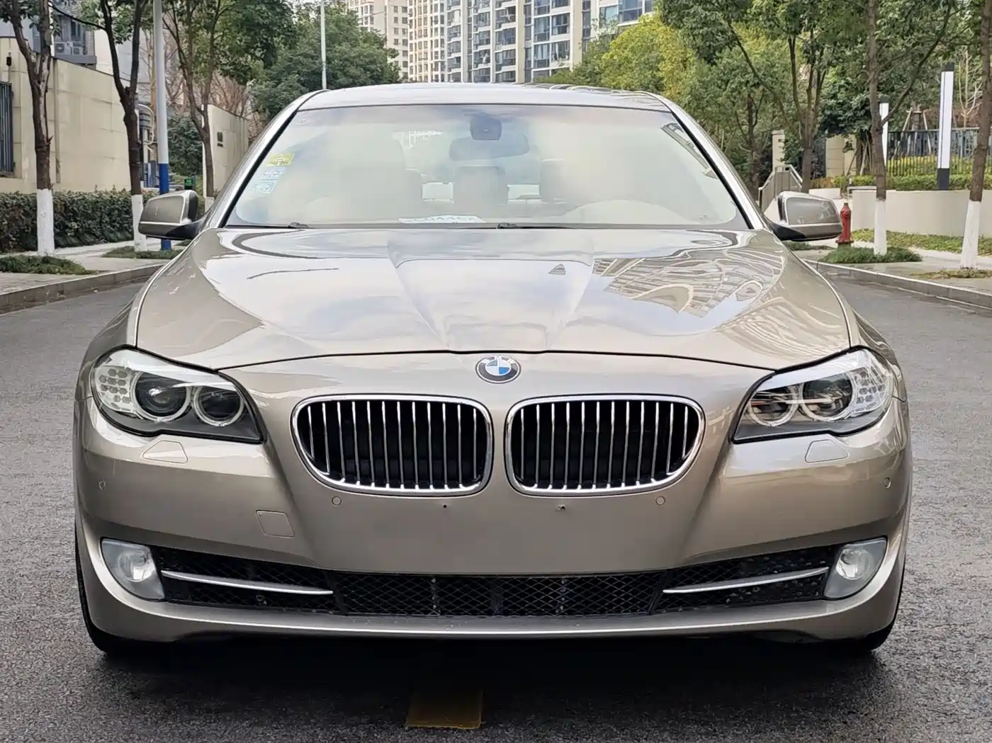 BMW 5 Series 2011 535Li Leading фото 8