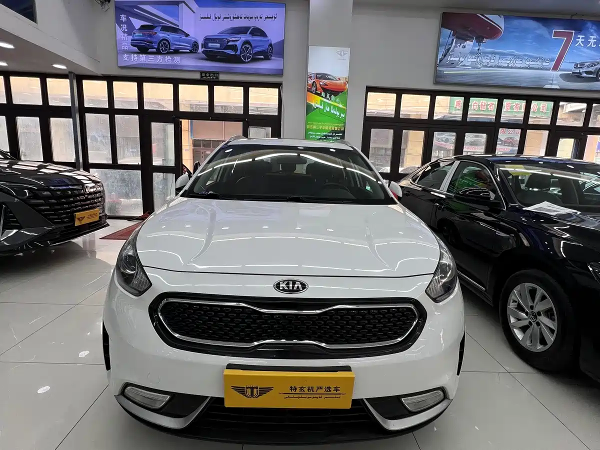 Kia Niro 2017 1.6L Luxury Edition фото 2