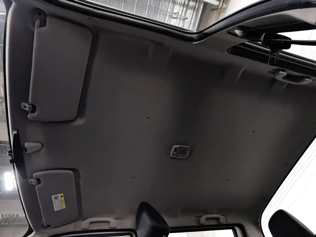 Dongfeng Ruiqi 2022 2021 2.4L Gasoline 2WD Well-off Edition Base Model 2TZD
