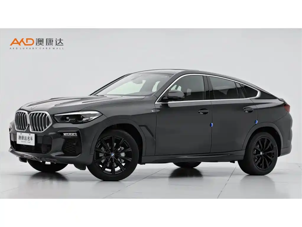 BMW X6 2021 xDrive30i M Sport Package