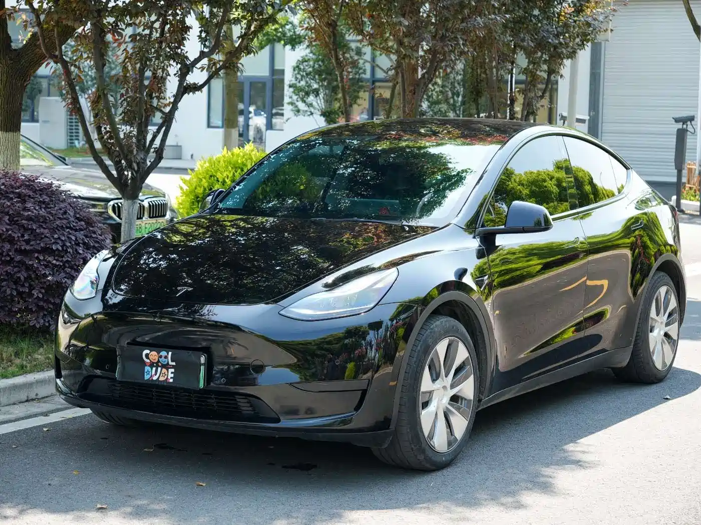 Tesla Model Y 2022 Rear-Wheel Drive Version