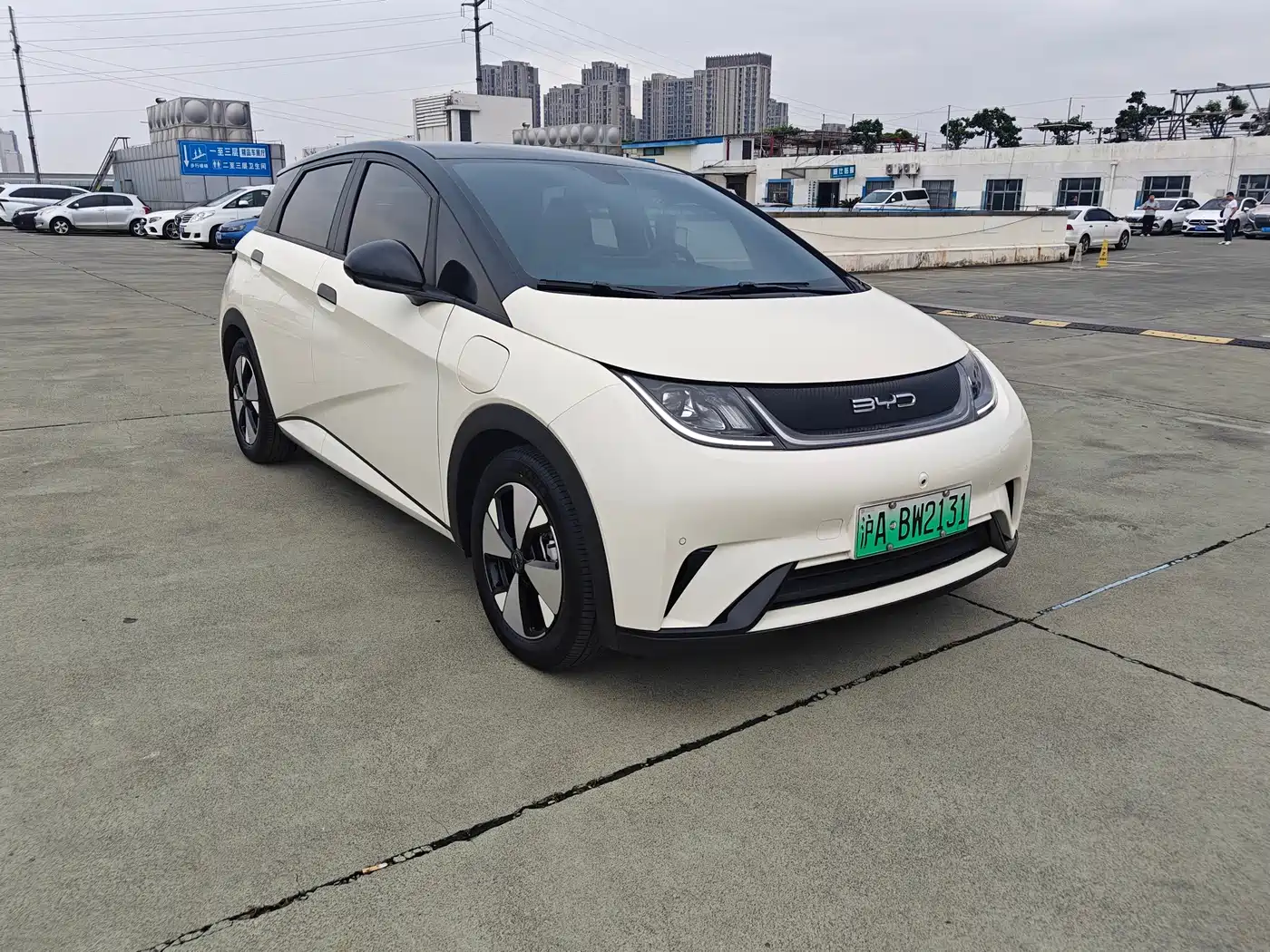 BYD Dolphin 2023 420km Fashion Edition фото 3