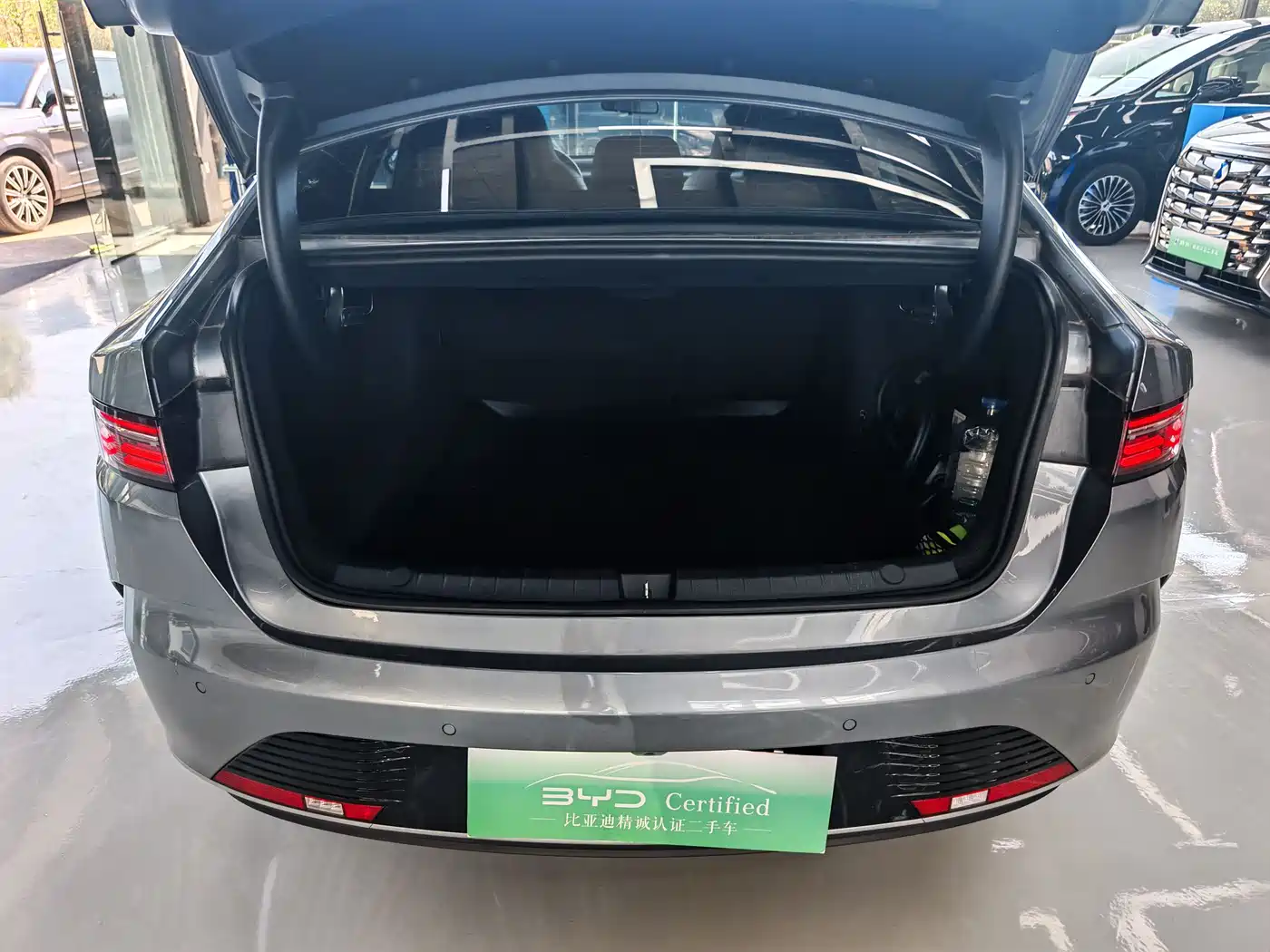 BYD Destroyer 05 2023 Champion Edition DM-i 120KM Premium фото 11