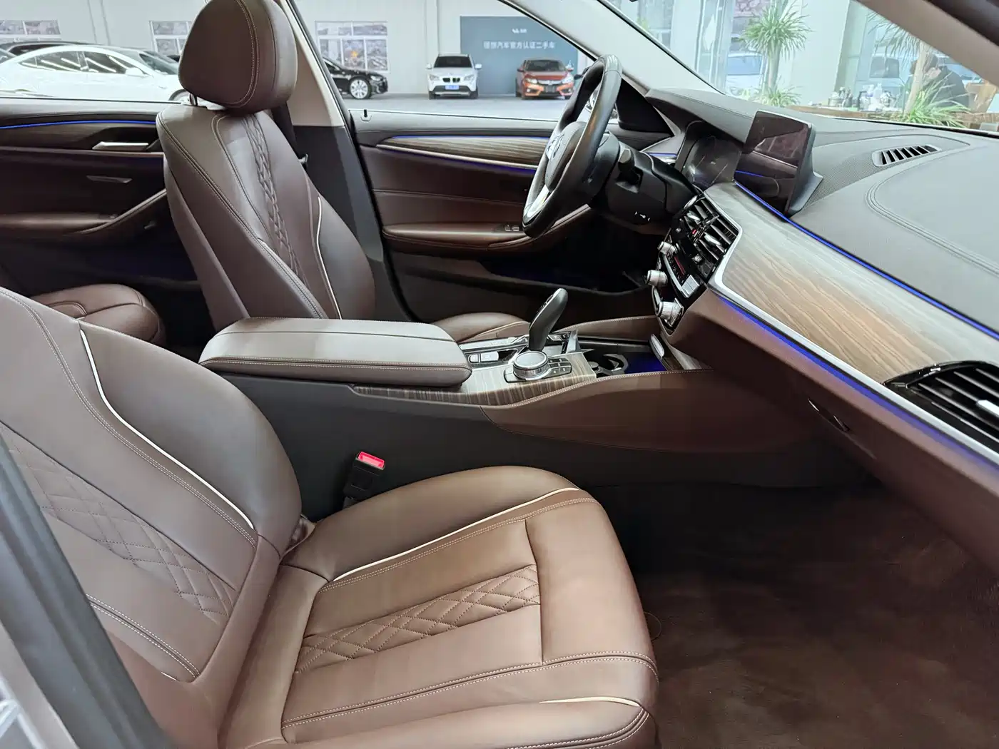 BMW 5 SERIES NEW ENERGY