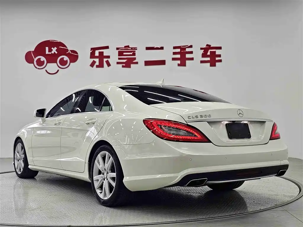 Mercedes-Benz CLS 2012 CLS 300 CGI фото 3