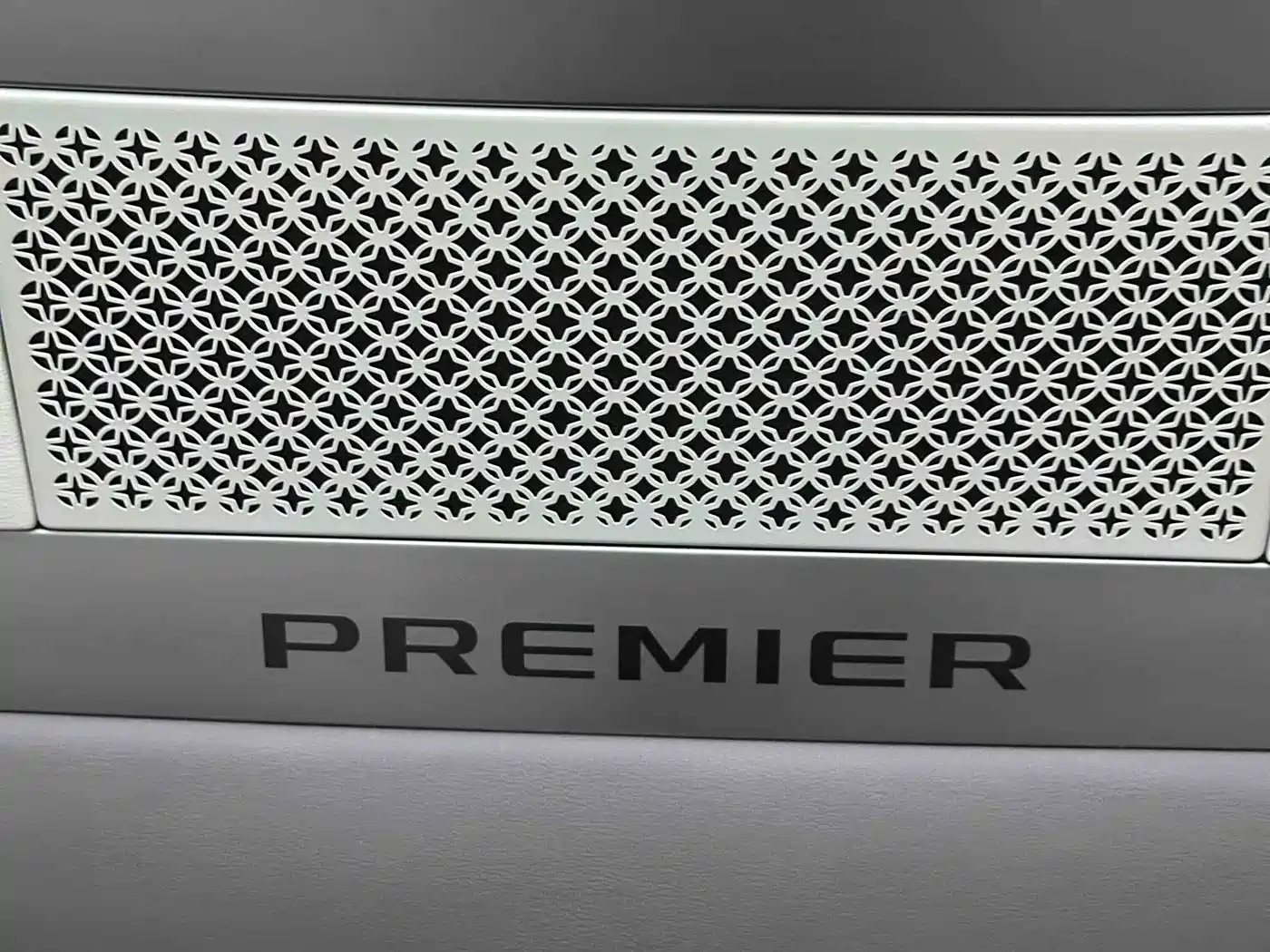 Denza D9 2023 PREMIER Founder's Edition фото 15