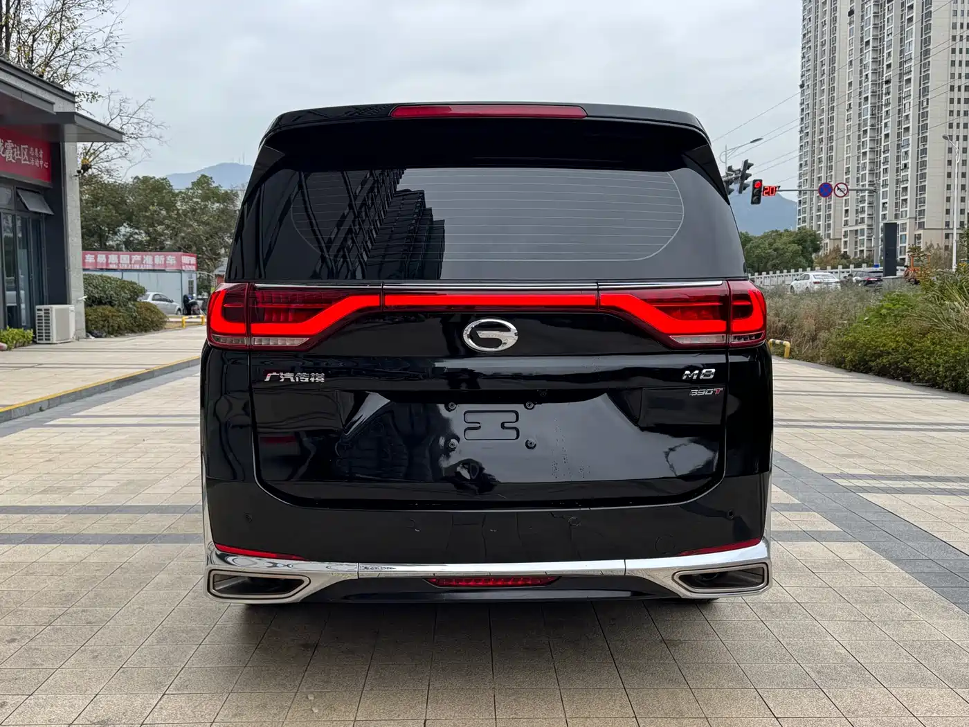 GAC Trumpchi Trumpchi M8 2018 320T Premium Edition фото 4