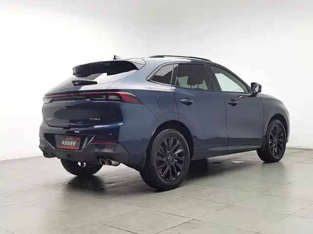 Dongfeng Fengxing Fengxing T5 EVO 2021 1.5TD DCT Starlight Edition — фото 2