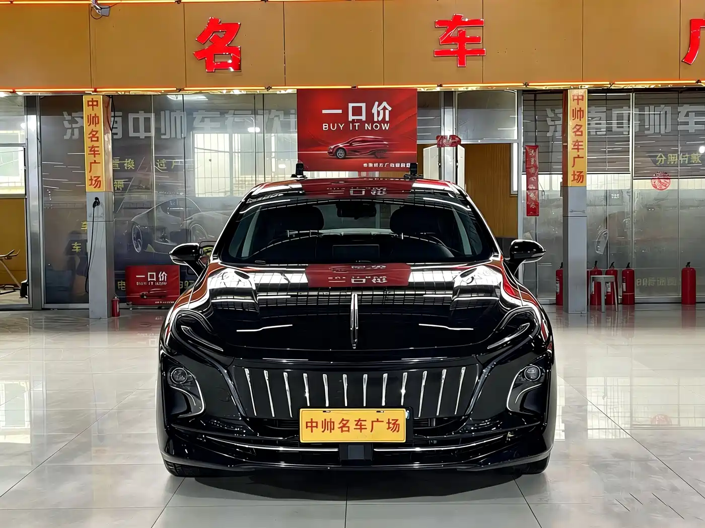 Hongqi HONGQI E QM5