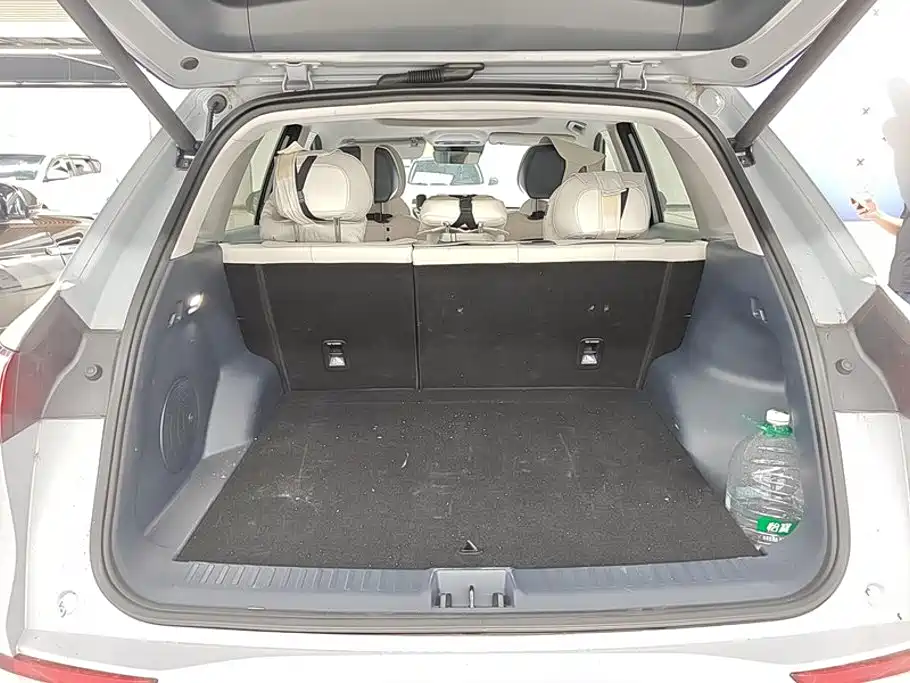 Geely Galaxy Galaxy E5 2024 2024 530km Starship Edition