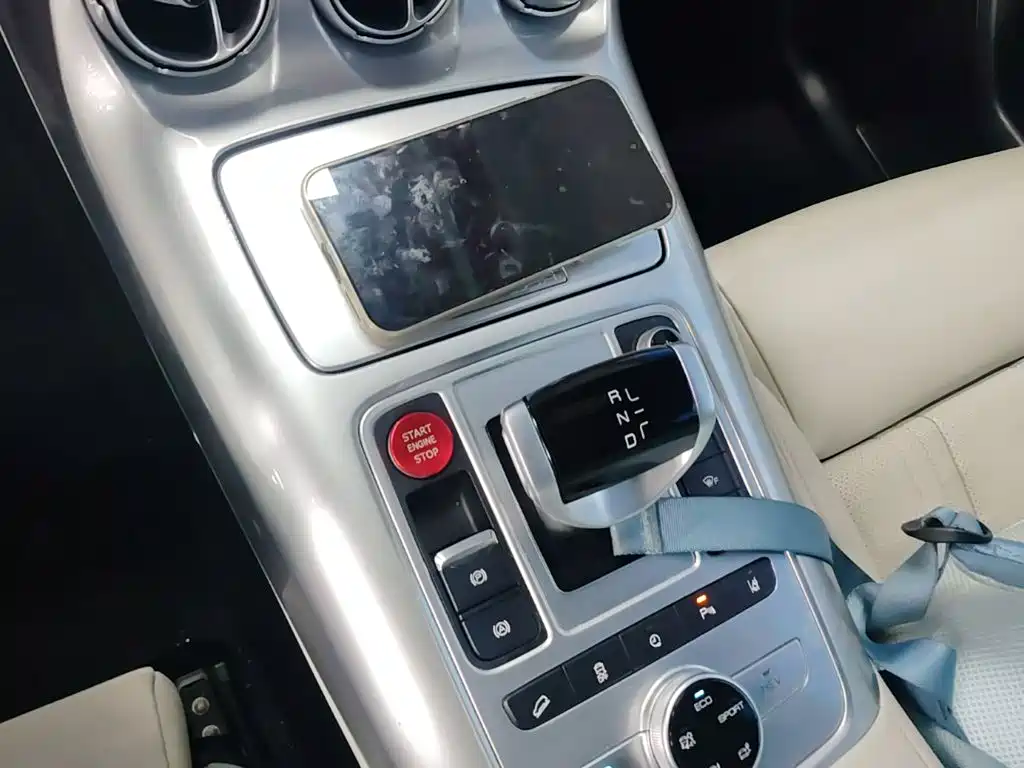Denza X 2021 2020 Model PHEV Flagship Edition