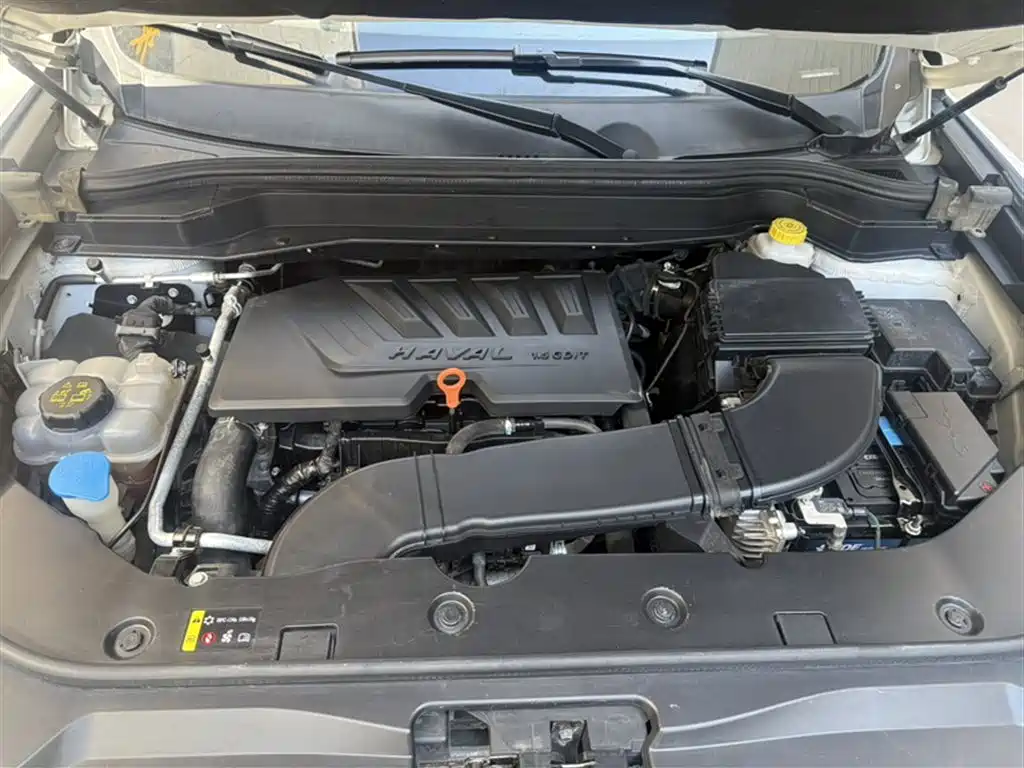 Haval H6 2019 1.5GDIT Automatic Champion Edition China VI фото 22