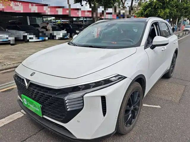  Venucia Venucia Big V 2021 260T King Edition