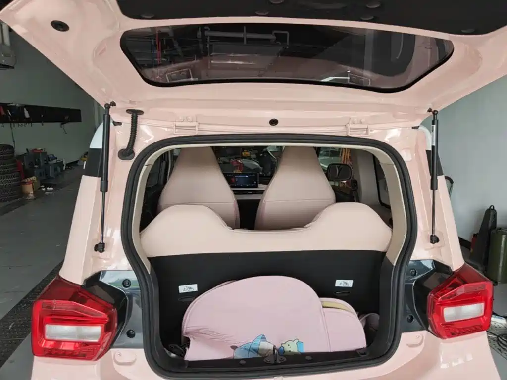 BAW (Beijing Automobile Works) Yuanbao 2023 2022 Model Year Baby Cute Edition
