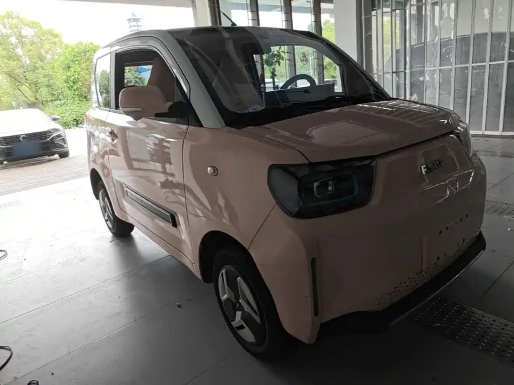 BAW (Beijing Automobile Works) Yuanbao 2023 2022 Model Year Baby Cute Edition