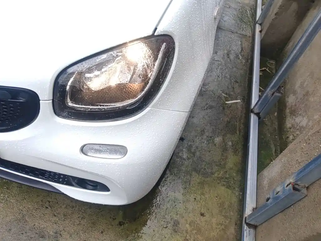 smart forfour 2019 2018 1.0L 52kW Agile Edition