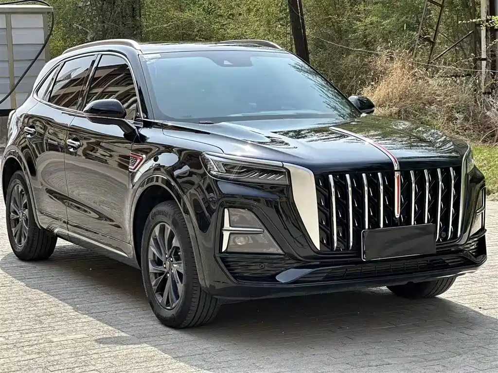 Hongqi HS5 2023 2.0T Flag Enjoy Pro Edition фото 8