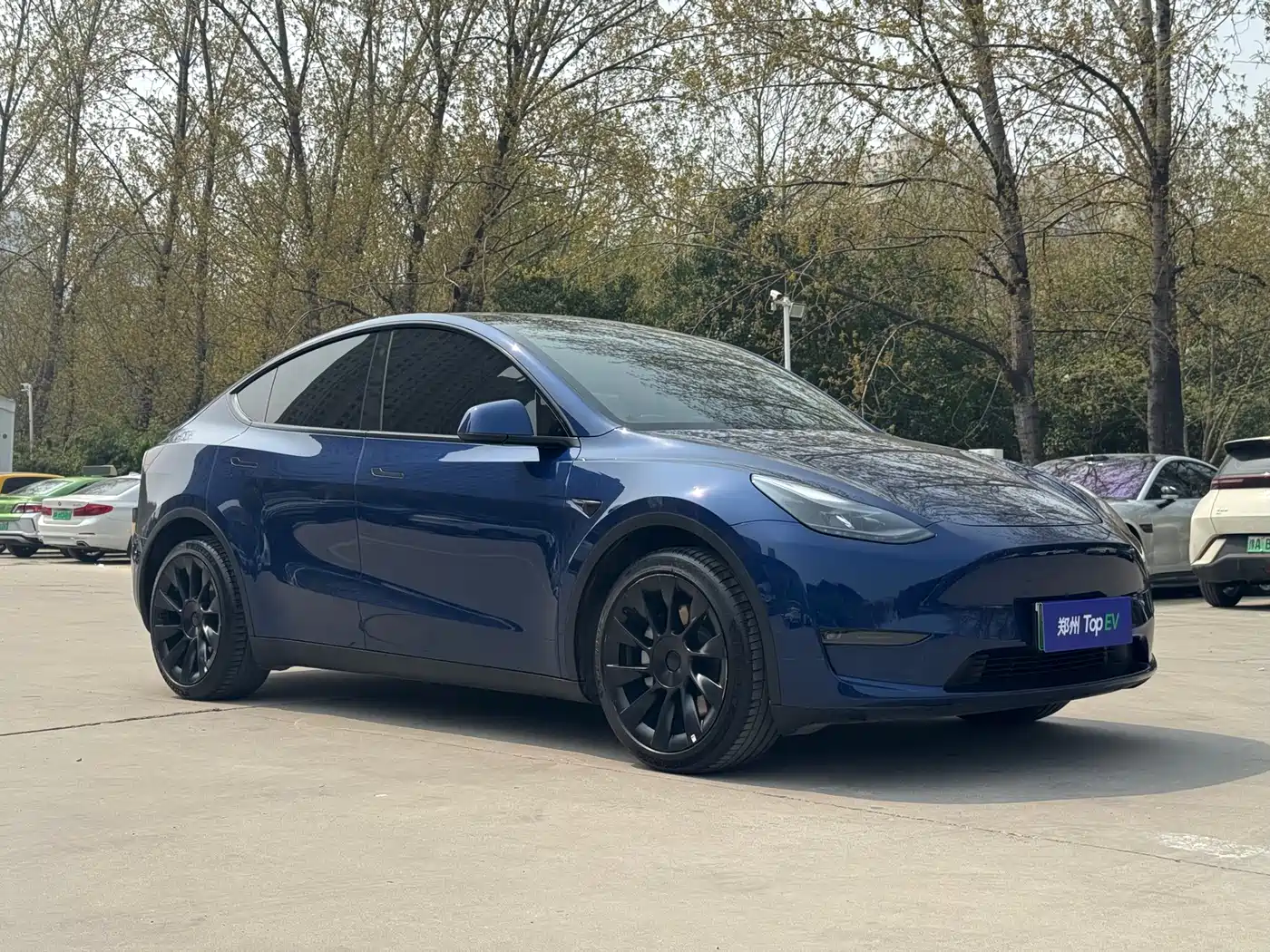 TESLA MODEL Y