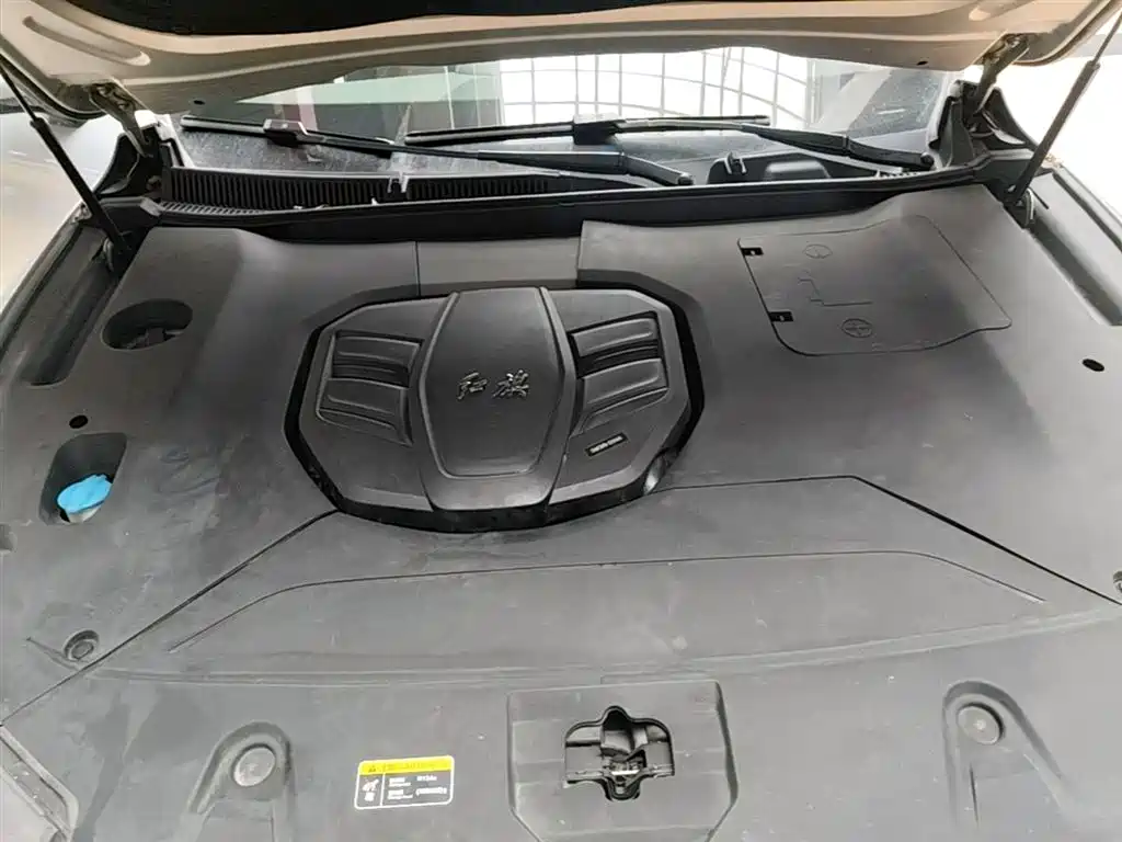 Hongqi HS5 2019 2.0T Smart Connect Enjoy Edition фото 20