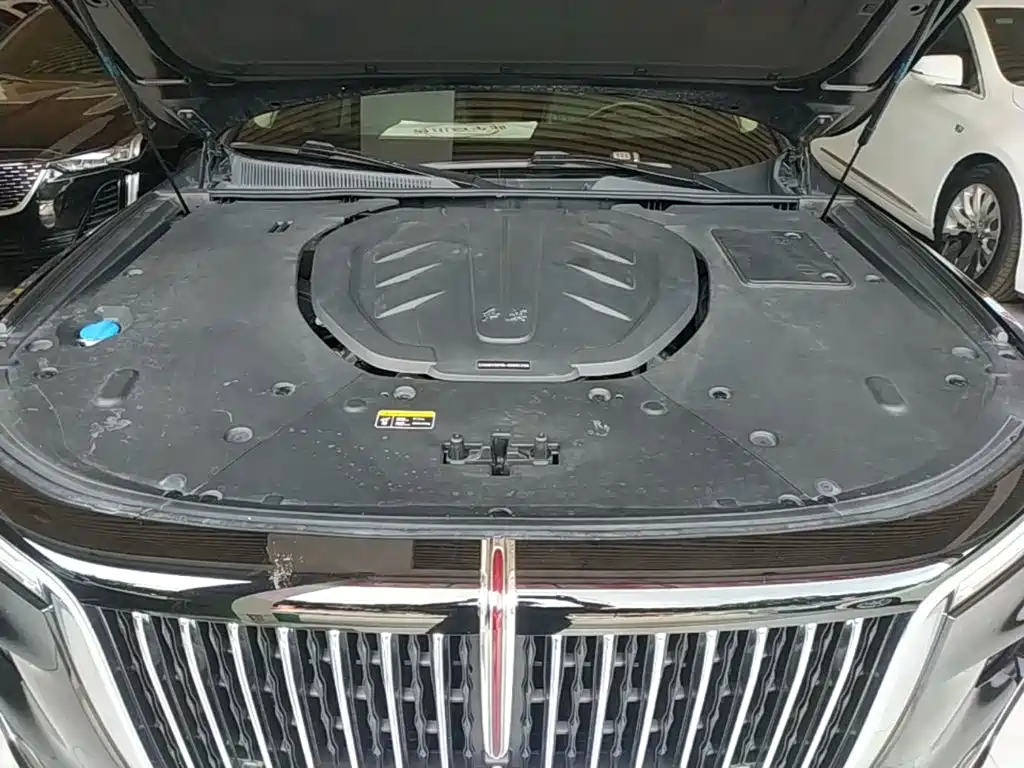 Hongqi H9 2021 2020 3.0T Smart Connect Flagship 4-Seater