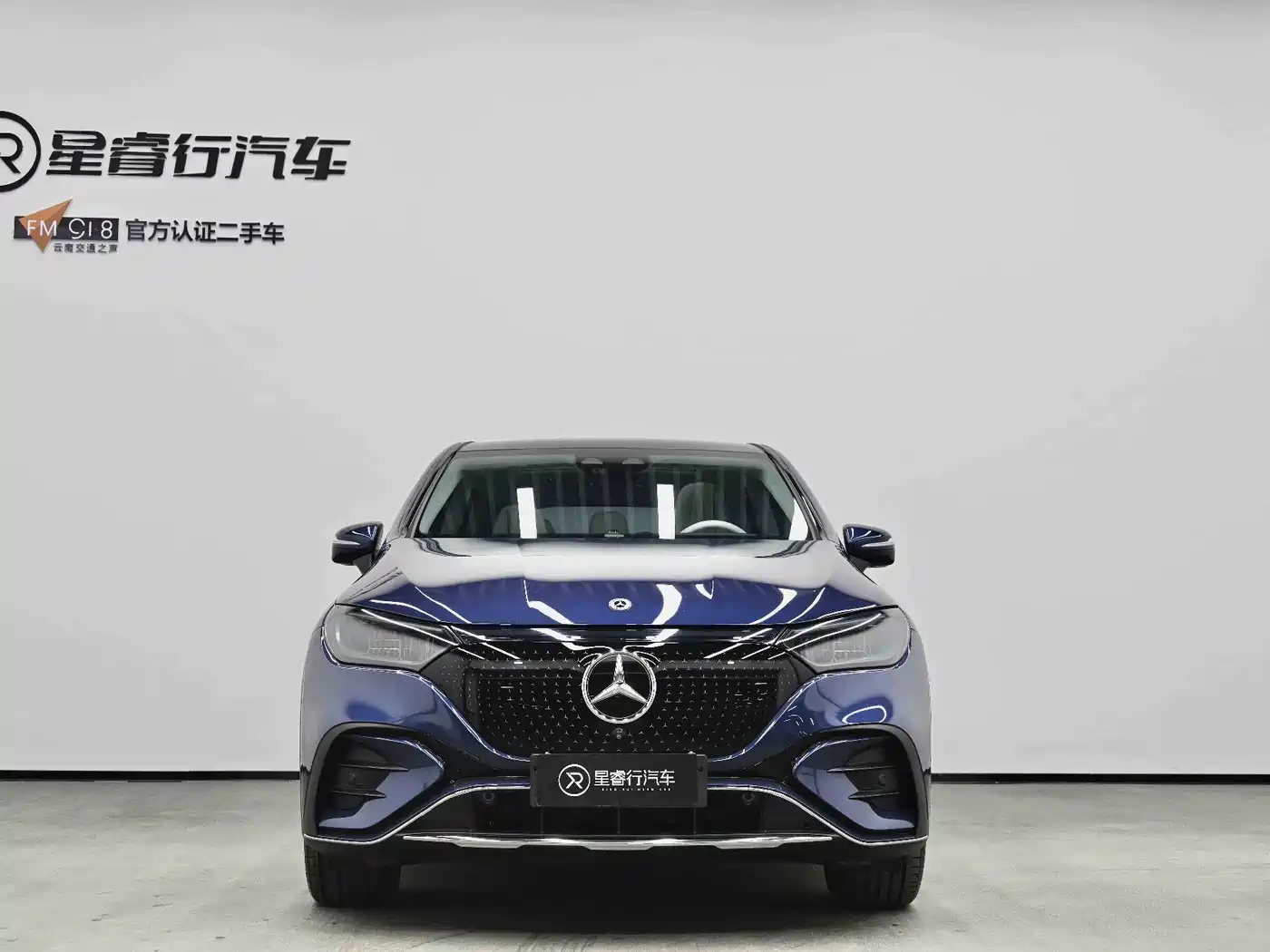 MERCEDES-BENZ EQE SUV