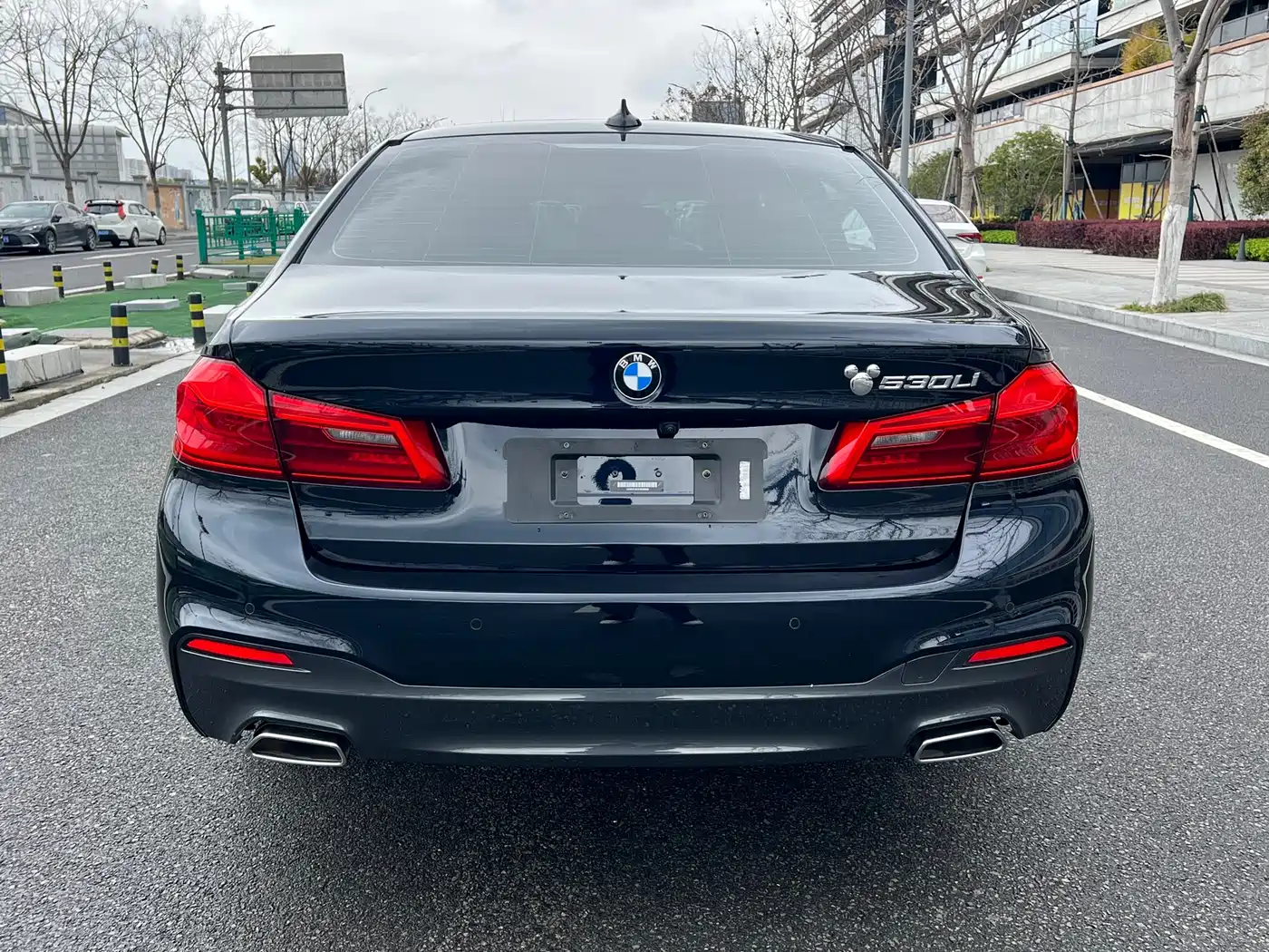 BMW 5 Series 2020 530Li Leading M Sport Package фото 16