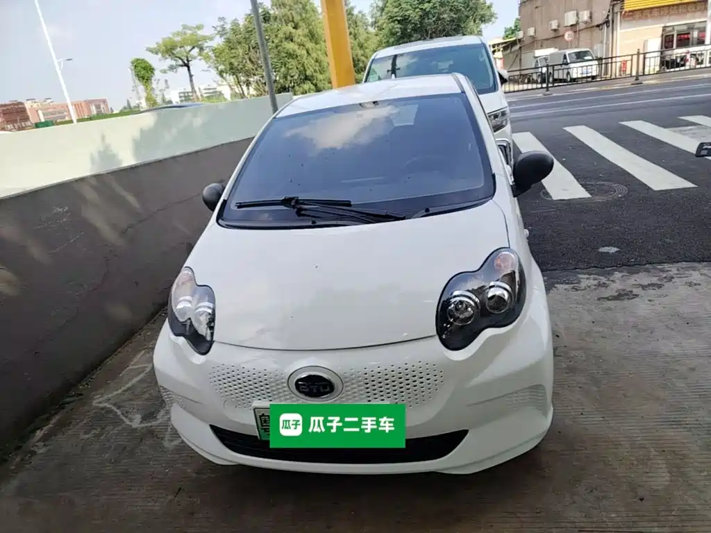 2020 BYD e1