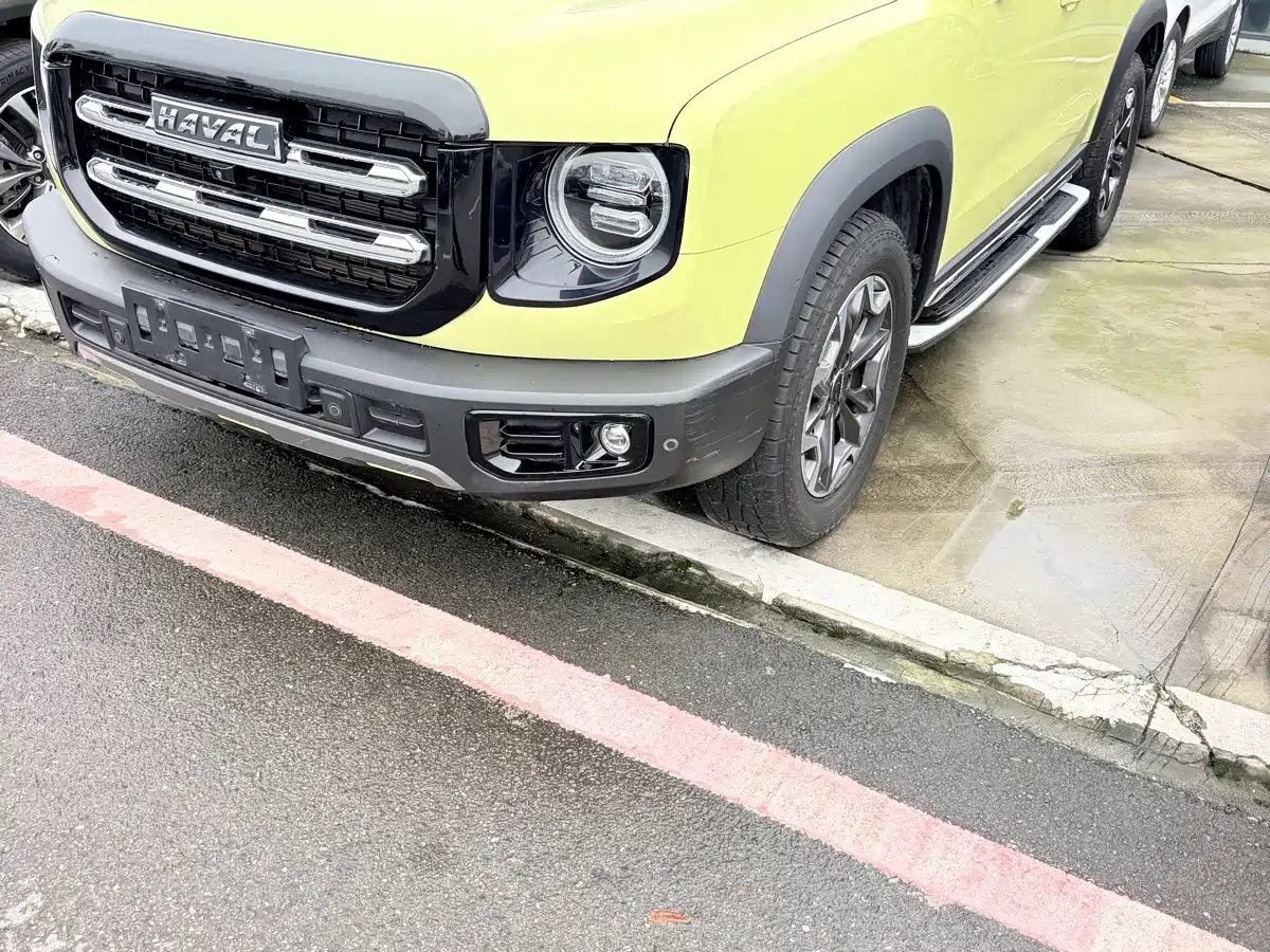Haval Dargo 2021 2021 2.0T DCT 4WD Chinese Rural Dog Edition