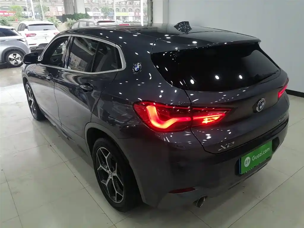 BMW X2 (Import) 2019 sDrive20i M Off-Road Package China VI фото 5