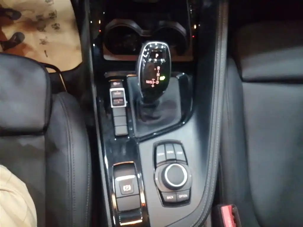 BMW X2 (Import) 2019 sDrive20i M Off-Road Package China VI фото 14
