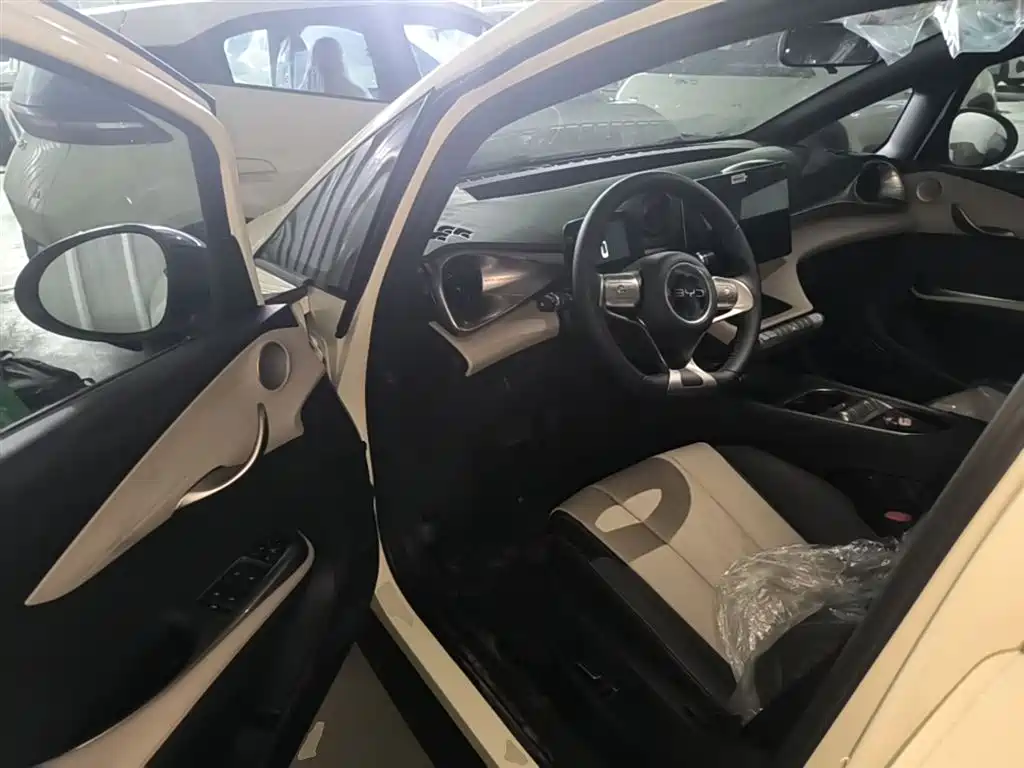 BYD Dolphin 2025 420km Freedom Edition фото 16