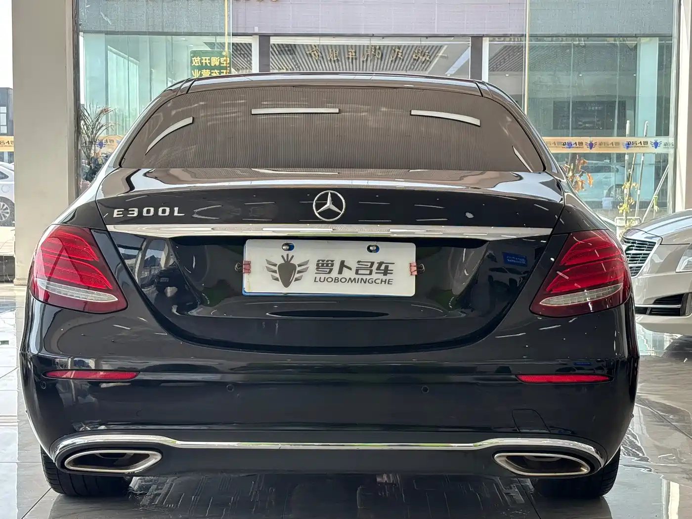 Mercedes-Benz E-Class 2020 E 300 L Luxury Model фото 5