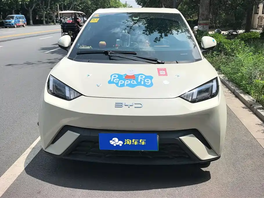 BYD Seagull 2024 Glory Edition 305km Vitality Edition фото 2
