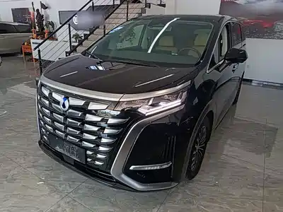 Denza D9